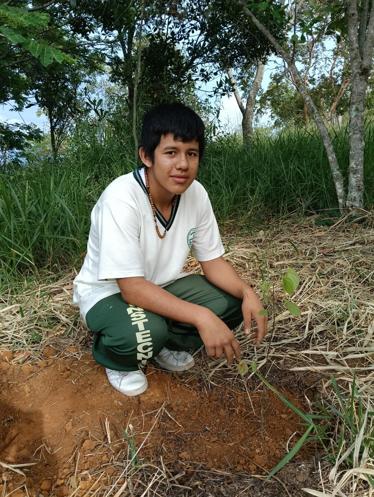 Luis Correa plantando su árbol Pata de Vaca