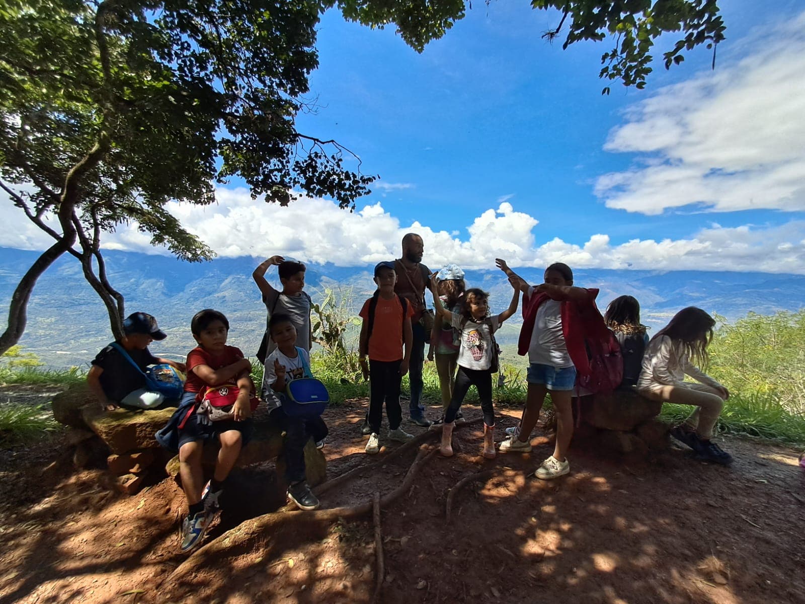 Niños en mirador bajo los árboles